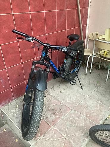 velosiped 20: Qara və mavi rənglərdə, enli təkərlərə malik Anmier velosipedi. Ön — 5