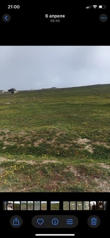 4 cü mikrorayon, sumqayıt: Novxanıda bag torpaq sahəsi satılır.Hasarın daxilindədir.Sahəsi 0,185 — 2