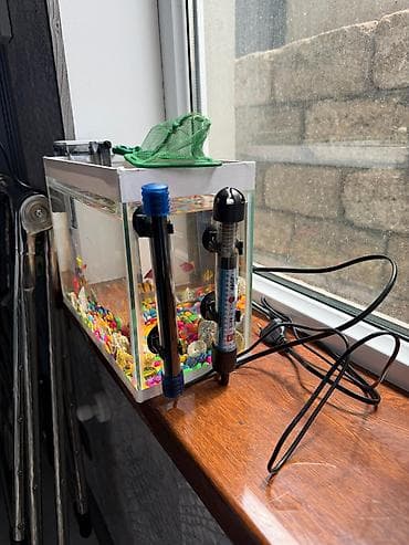 akva ayaqabılar: Kiçik akvarium komplekti - Şüşə akvarium, təxmini 15–20 litr həcm - — 2