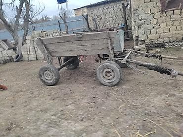 Птицы: Təcili satlır at araba biryerdə münasib qiymətə riyal alcya endirim — 3