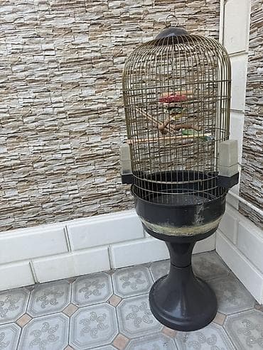 Ayaqlı quş qəfəsi Boyuk olcudedir Unvan:Bileceri Memmedogullar Servis