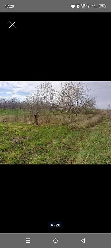 gence emlak satisi: Kənd təsərrüfatı — 3