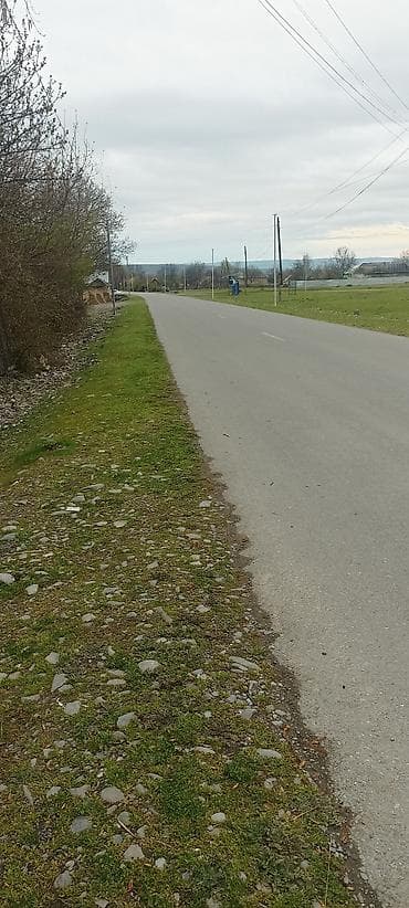 yeni suraxanıda: Qəbələ, 100 kv. m, 5 otaqlı, Hovuzsuz, İnternet — 2