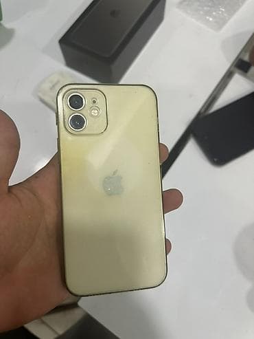 IPhone 12, Ağ