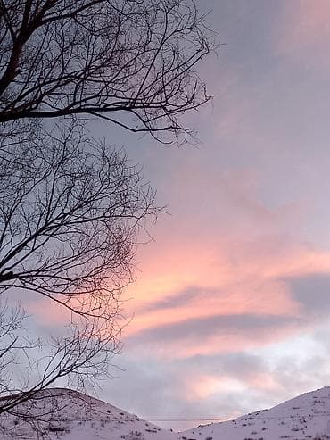 meşə torpağı: Tikinti — 5