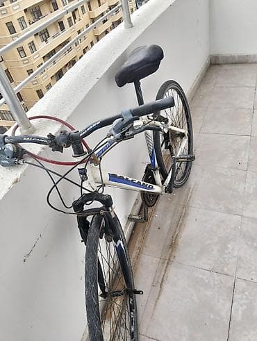 optimal velosiped: Salcano şəhər/trek velosipedi - Brend/model: Salcano (çərçivədə “City — 2