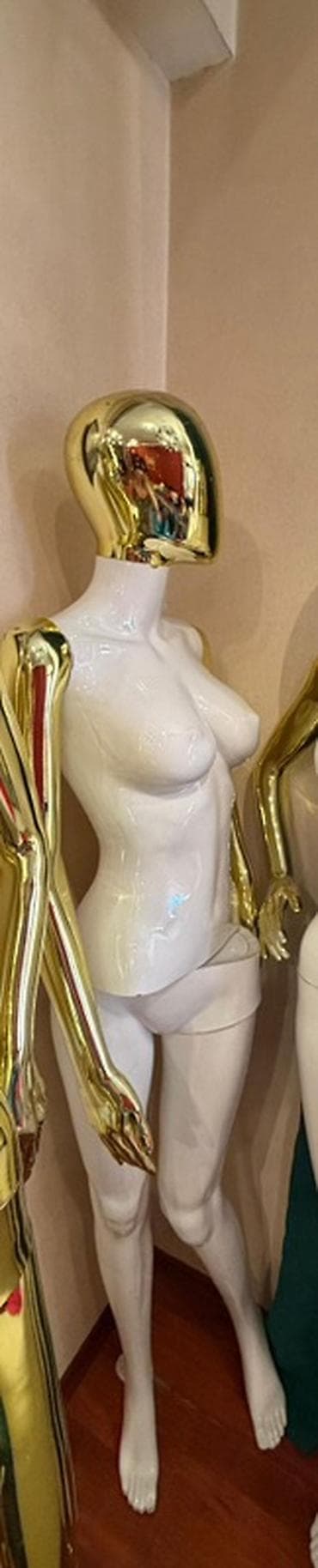 Qadın, Plastik, plastmas — 2