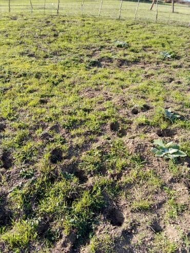 земельный участок в деревне: 29 соток, Для строительства, Собственник, Купчая — 4