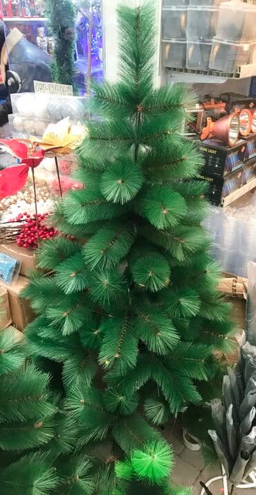 böyük yolka: Yolka — 2