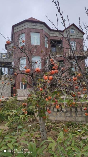 yeni evlər: 8 otaq, 550 kv. m, Yeni təmirli — 11