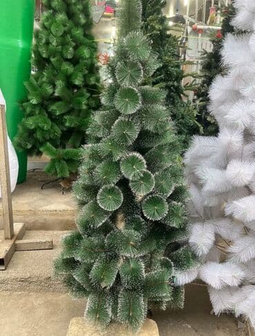 şam ağacı satılır: Yolka — 1