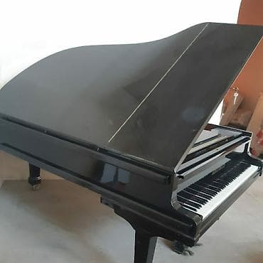 Röyal Agust-Fhoster satilir — 2