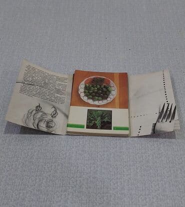 kohnə pullar: Otkrıtkalar. Tərəvəzlərdən hazırlanan dəst olaraq 22 ədəd reseptli — 3