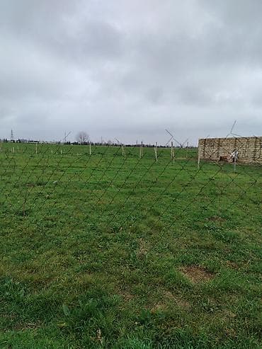 biləcəri torpaq: 8 sot, Tikinti, Mülkiyyətçi, Kupça (Çıxarış) — 7