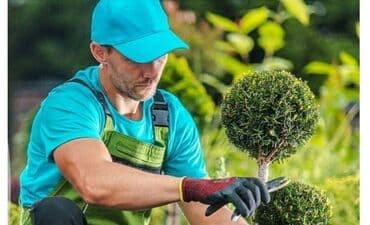 mingecevir iş elanlari 2023: Bağban tələb olunur, 1-2 illik təcrübə, Dəyişən qrafik, Tam iş günü — 1