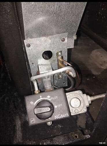 Комнатные растения: Иранская Печь, топливо - Газ — 2