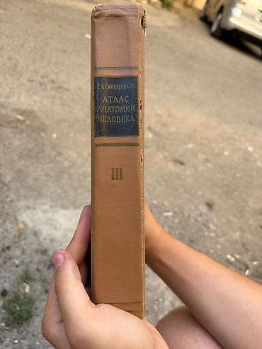Атласы: Məhsul: R. D. Sinelnikov – Atlas Anatomiı Çeloveka (İnsan — 3