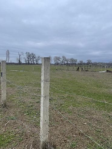 аренда дачи посуточно в баку: 6 соток, Для строительства, Собственник, Купчая — 3