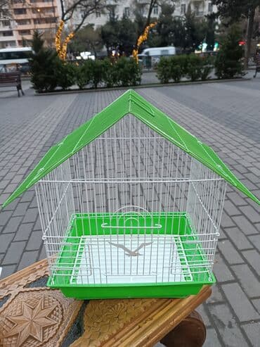 dovşan balası: Dovşan yemləri 2azn Dovşan balaları 5azn topdan Sadə yem Topdan 1-azn — 13