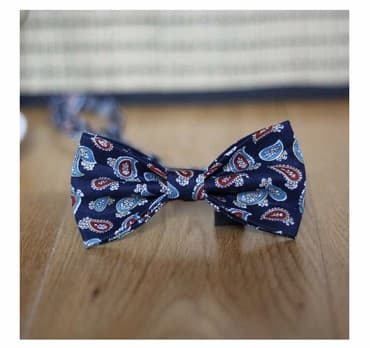 Бабочка, бант
Тематические и стандартные банты и бабочки