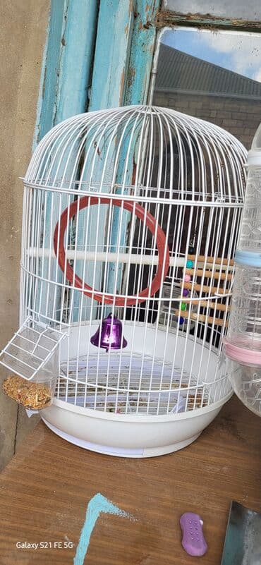 Gəmiricilər: Quş qəfəsi – dairəvi dizaynlı, ağ metal barmaqlıqlar və möhkəm plastik — 1