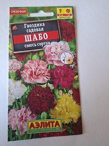 bezek bitkisi: Eustoma (lisianthus) toxumu – “Arena” seriyası, VIP xətt — 10