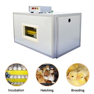 Ticarət printerləri və skanerləri: 180 Tutumlu Tam Full Avtomatik Inkunator Zavod isdehsli Şəkildə — 1