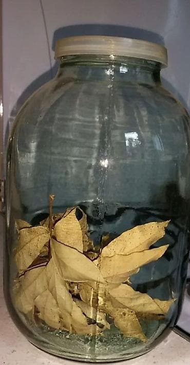 Şüşə banka – iri həcmli, vintli/plastik qapaqlı - Təxminən 3 litrlik