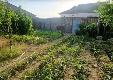 Баку, Пос. Гала, 30 м², 2 комнаты, С бассейном, Газ, Электричество, Водопровод