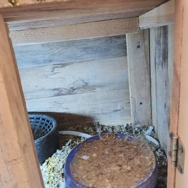 pişik yuvası: Salam Aleykum Quşxana satılır istəyən olsa əlaqə saxlasın .hündürlük — 8