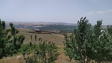 qara torpaq: Şamaxı r. Meysəri kəndi,çox prestijni yerdədir. 10 sotun içində orta — 3
