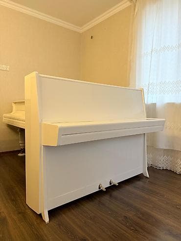 пианино сколько стоит: Пианино, Petrof, Акустический — 4