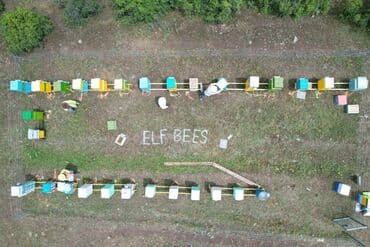 продается мед: Elf bee's 1977 eco product for health and longevity tovuzun — 13