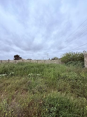 12 sot, Tikinti, Kupça (Çıxarış) — 5