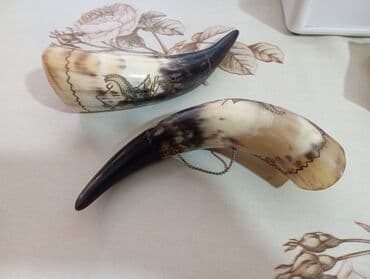 ev pencere: Padnos — 1