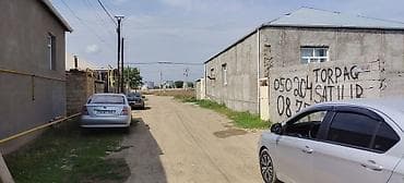 premium cay fabriki: Tikinti — 2