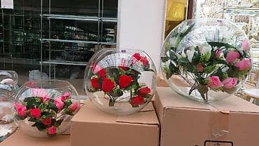 akvar: Akvarium İstənilən növdə, ölçüdə yumru akvariumlar, terrariumlar — 3