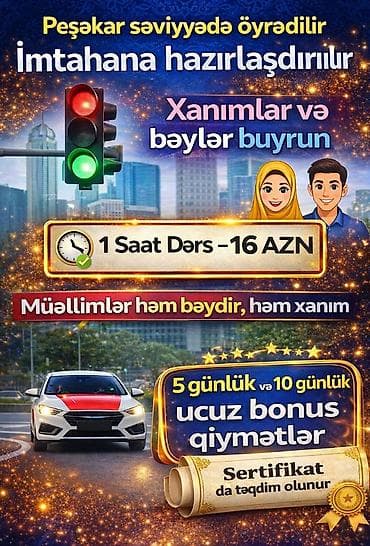 Няни, сиделки: Автошкола, курс вождения, Седан — 2