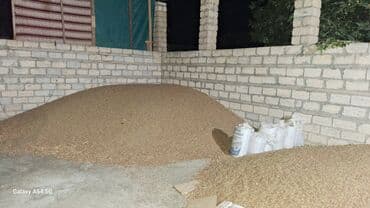 купить домик для кота: Satış: İnek yemi Qarox - Yemin hazırlanması, un dəyirmanı, quşçuluq — 2