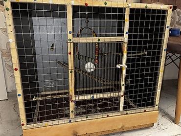 Qiymətdə razılaşmağda olar Təzədir siyirməli qəfəsdi böyük quşlar