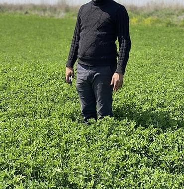 sekide: 100 sot, Kənd təsərrüfatı, Barter mümkündür, Kupça (Çıxarış) — 10