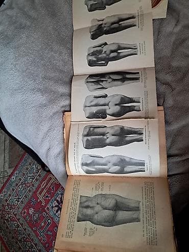 mamaliq kitabi pdf: Məhsul: “Акушерство” (Akuşerlik) – rus dilində tibbi dərslik Müəllif — 4