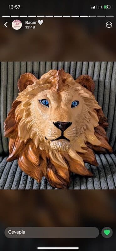 qapi demir qapi seyf qapi: Fiqur, rəng - Qəhvəyi — 1