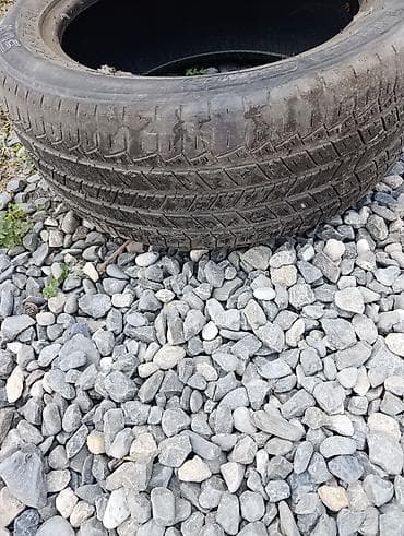 запчасти опель вектра б: Avtomobil şini - Ölçü: 225/55 R18 98V - Tip: Radial, tubeless - — 2