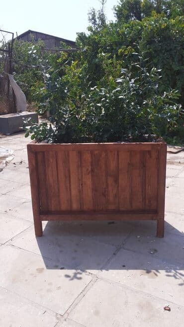 taxtadan gul qablari: Dibçək Ağacdan dekorativ çiçək/bitki qutuları - Material: təbii — 2