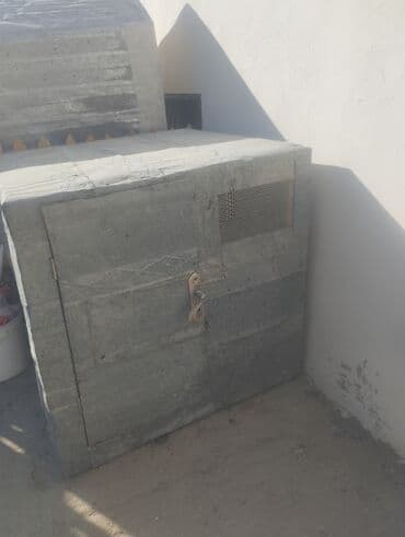 lelekli heyvanlar: Qusxana goyercin yuvasi quş dami — 1