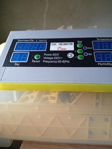 İnkubatorlar: Yumurta inkubatoru – rəqəmsal idarəetmə paneli ilə - Model: Egg — 3