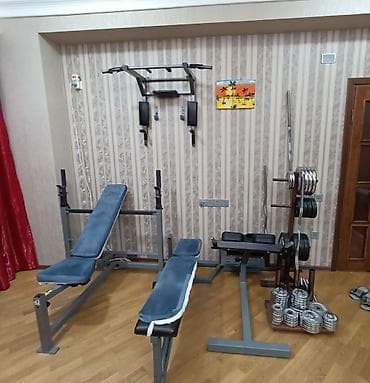 Idman avadanliqları Turnik ve brus Jim ucun idare olunan Body Solid