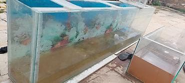 Akvaryum və bölməli yetişdirmə qabları dəsti 2×0.50×0.28 280 litr