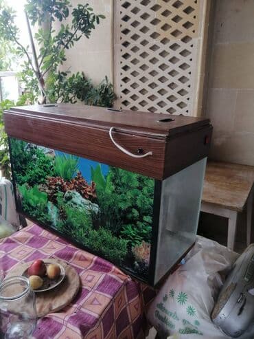 akvarium 120 cm: Çox yaxşı vəziyyətdədir — 1